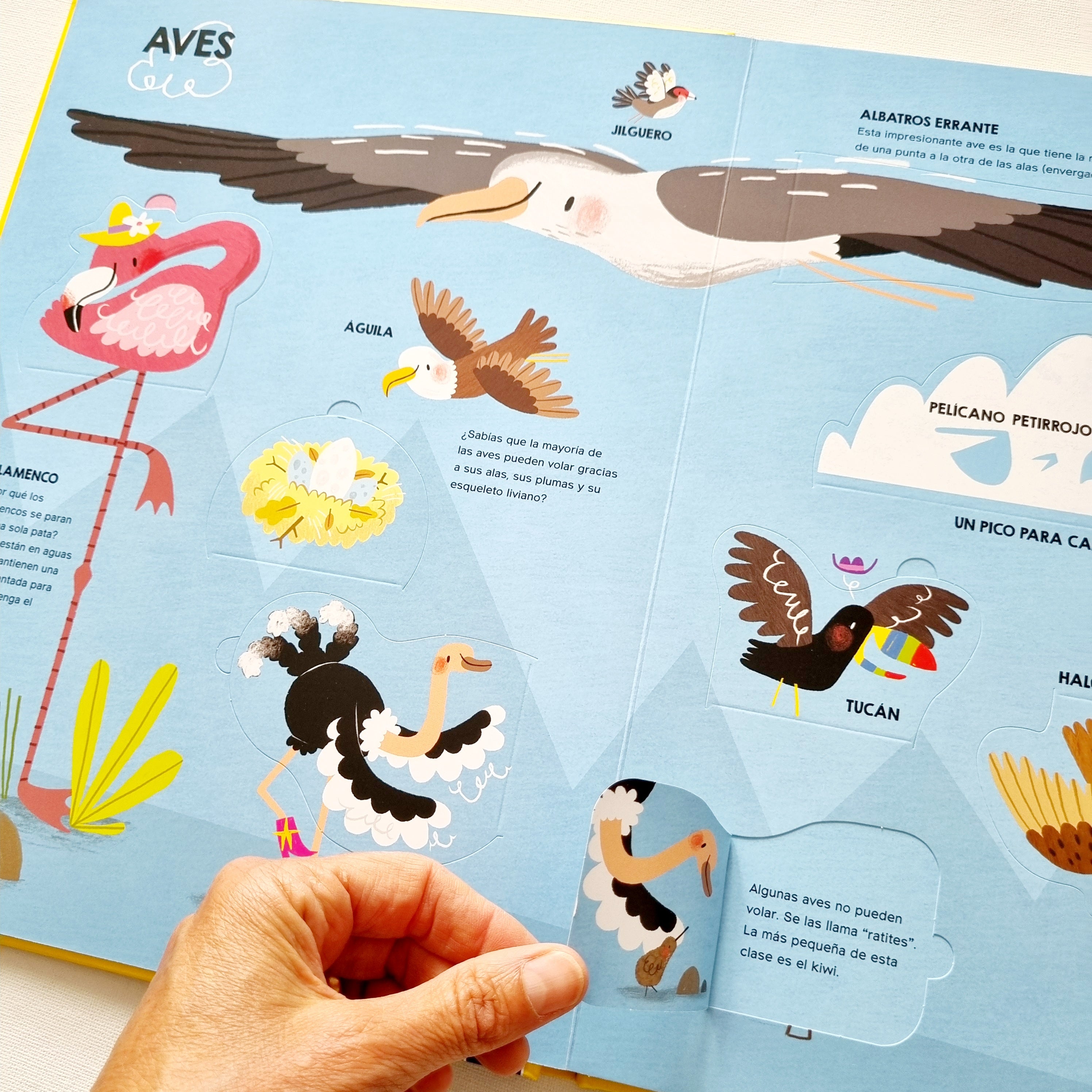 Los Animales. Mi viaje de descubrimiento Los Animales. Mi viaje de descubrimiento